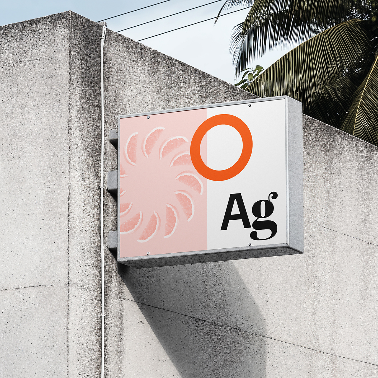 branding-02.01.png